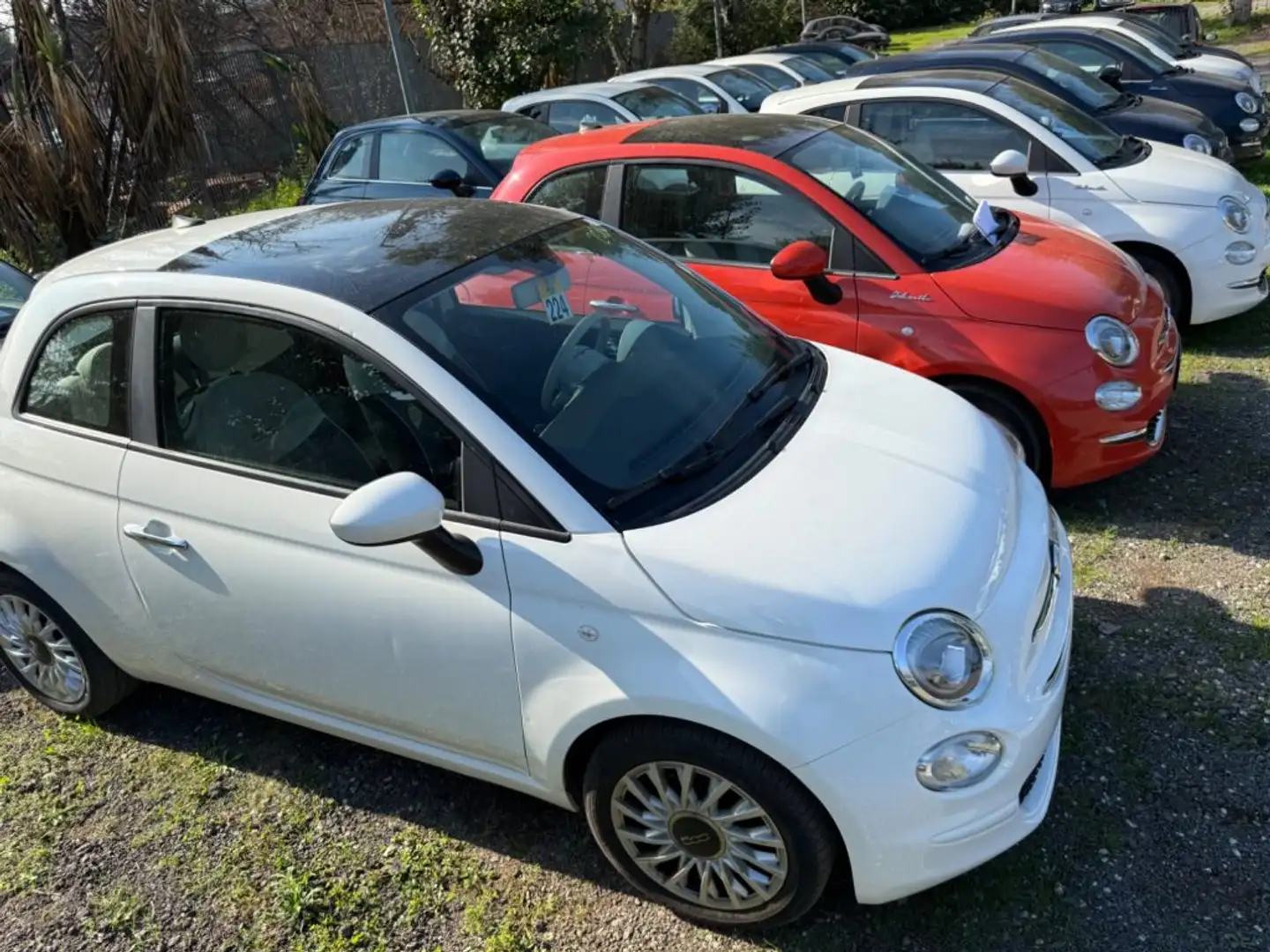 Fiat 500 1.0 LOUNGE  "DIVERSI COLORI" + GPL Bianco - 2
