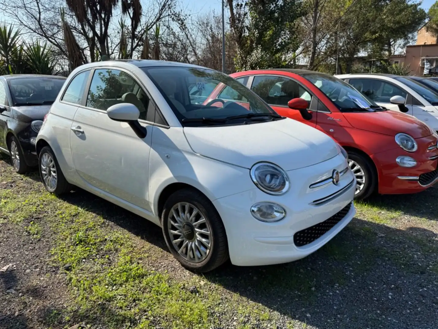 Fiat 500 1.0 LOUNGE  "DIVERSI COLORI" + GPL Bianco - 1