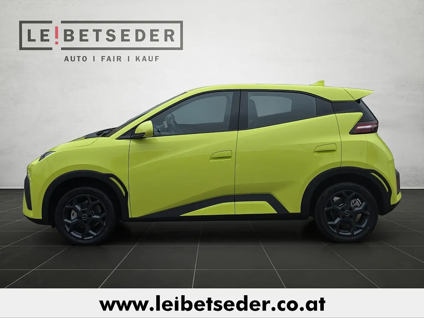 BYD Dolphin Surf Comfort € 24.480,- inkl. BYD Lease und Eintausc... Grün - 2