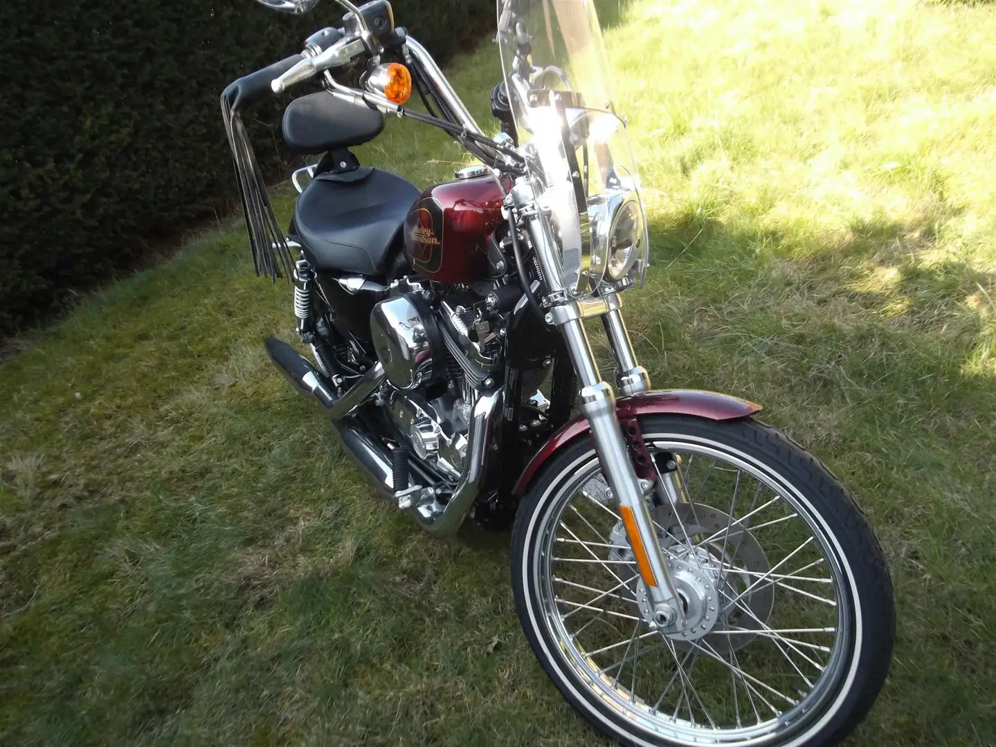 Harley-Davidson XL 1200 Sportster - Seventy-Two Rot - 1