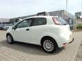 Fiat Punto 1.2 69pk 3D POP Wit - thumbnail 7
