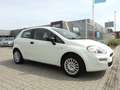 Fiat Punto 1.2 69pk 3D POP Wit - thumbnail 3