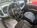 Fiat Panda Panda 1.0 hybrid Launch Edition 70cv cross Verde - thumbnail 8