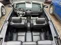 Volkswagen New Beetle 1.9l TDI CABRIOLET 105CV CARAT BVM5 2006 Noir - thumbnail 11