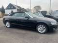 Audi A5 1.8 TFSI (118kW) Cabrio Schwarz - thumbnail 17