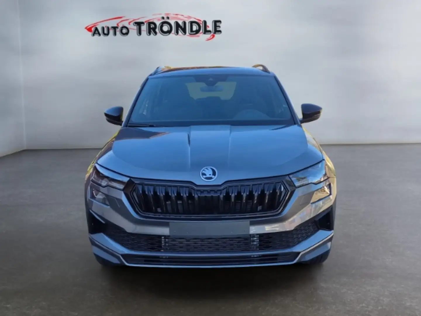 Skoda Karoq 1.5 TSI DSG Sportline +AHK +Kamera +Navi Grau - 2
