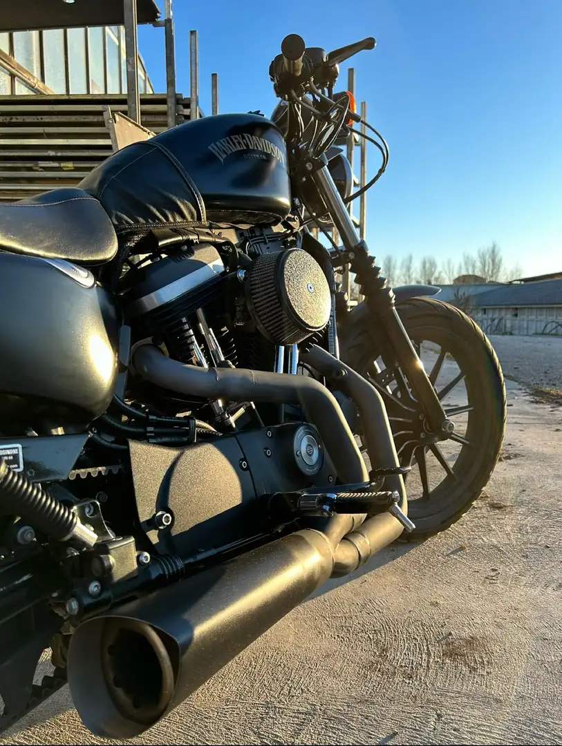 Harley-Davidson Iron 883 abs Nero - 2