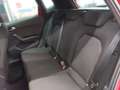 SEAT Arona 1,0 Eco TSI Xcellence Rot - thumbnail 11