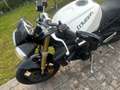 Triumph Street Triple 675 Blanc - thumbnail 8