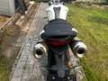 Triumph Street Triple 675 Blanc - thumbnail 9