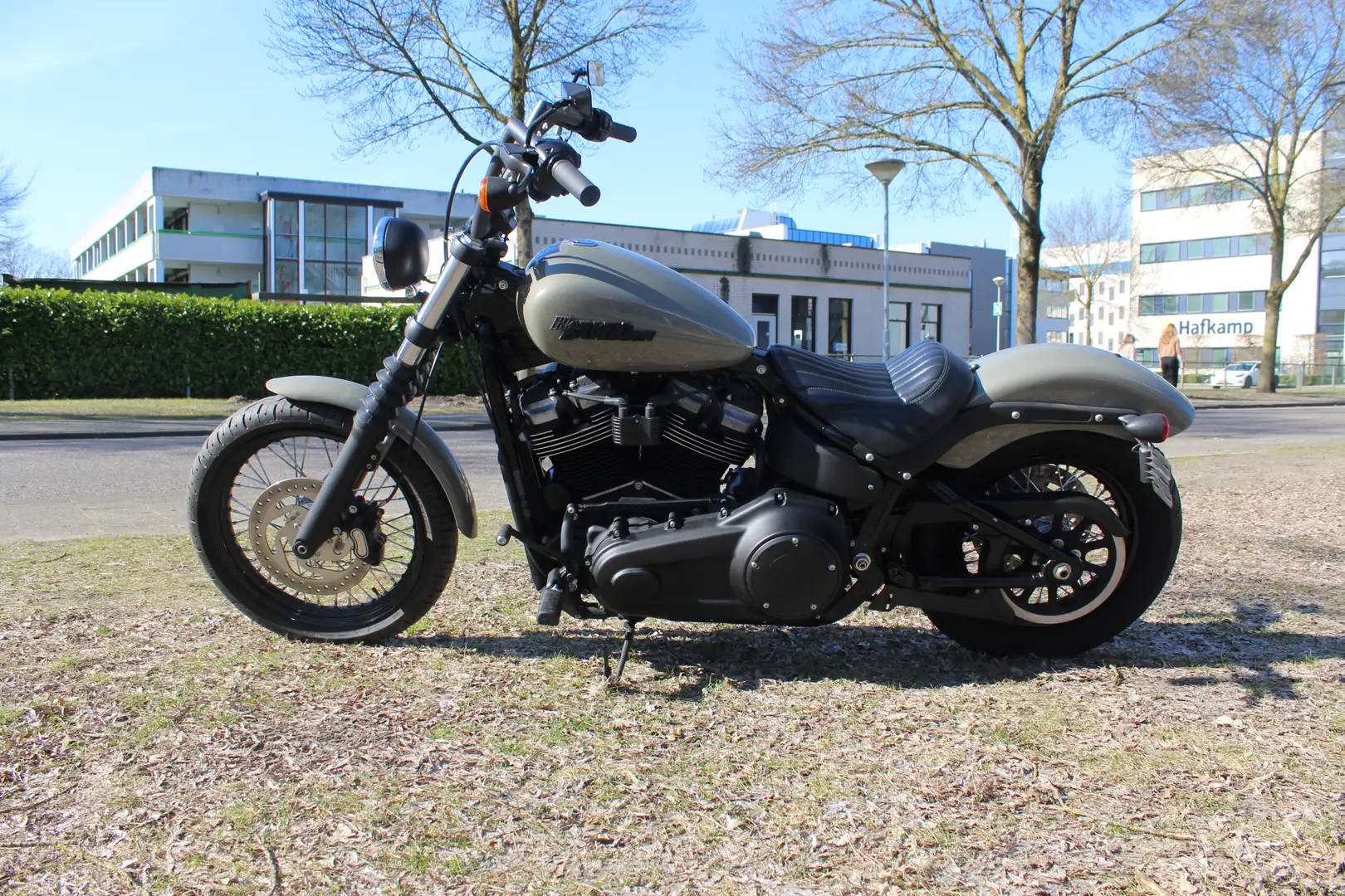Harley-Davidson Softail Streetbob FXBB Gris - 2