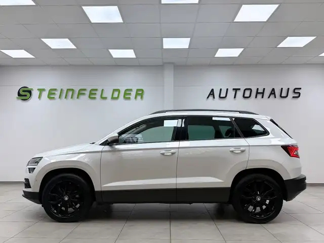 Skoda Karoq view 4