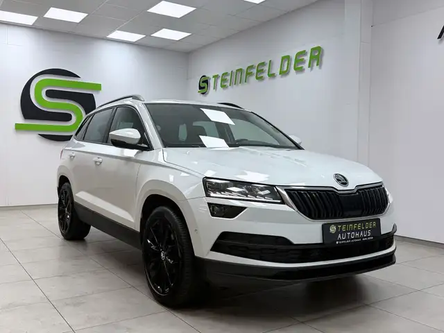 Skoda Karoq main image