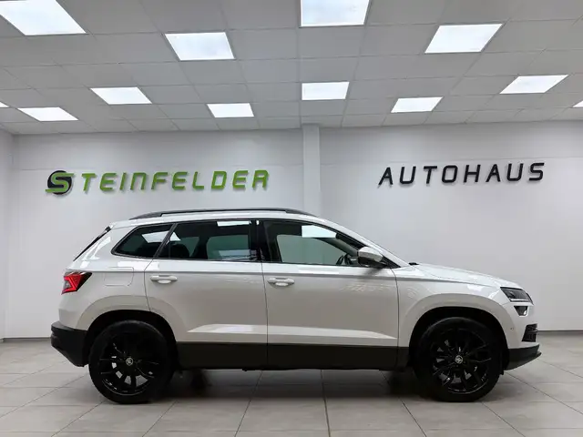 Skoda Karoq view 8