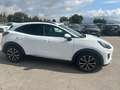 Ford Puma 1.5 EcoBlue 120Cv Titanium Bianco - thumbnail 13