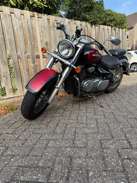 Suzuki VL 800 - foto 4