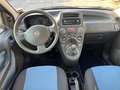 Fiat Panda 1.2 natural power Dynamic *NEOPATENTATI*CINGHIA-OK Azul - thumbnail 7