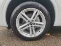 Audi Q5 40 TDI q. S-Tronic S-Line 2x, Matrix, AHK, Pa Weiß - thumbnail 20
