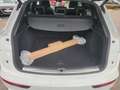 Audi Q5 40 TDI q. S-Tronic S-Line 2x, Matrix, AHK, Pa Weiß - thumbnail 22
