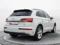 Audi Q5 40 TDI q. S-Tronic S-Line 2x, Matrix, AHK, Pa Weiß - thumbnail 8