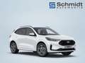 Ford Kuga ST-Line 2,5L Duratec FHEV 183PS A AWD Weiß - thumbnail 8