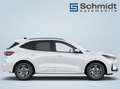 Ford Kuga ST-Line 2,5L Duratec FHEV 183PS A AWD Weiß - thumbnail 7