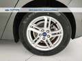 Ford Focus 1.5 ecoblue Business s&s 120cv Grigio - thumbnail 10