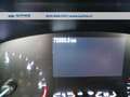 Ford Focus 1.5 ecoblue Business s&s 120cv Grigio - thumbnail 12