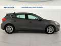 Ford Focus 1.5 ecoblue Business s&s 120cv Grigio - thumbnail 6