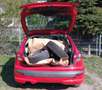 Peugeot 206 206+ 60 Rot - thumbnail 8