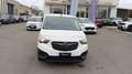 Opel Combo *PROMO* Cargo 1.5 D 130CV S&S AT8 PC 650kg Edition Blanc - thumbnail 2