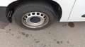 Opel Combo *PROMO* Cargo 1.5 D 130CV S&S AT8 PC 650kg Edition Blanc - thumbnail 10