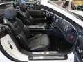 Mercedes-Benz SL 400 AMG Panoramadak Camera Harman Kardon AMG-Line Spoi Weiß - thumbnail 15