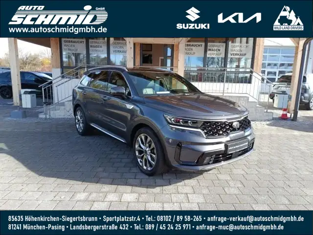 Kia Sorento SORENTO 2.2D AWD DCT8 PLAT NAPPA GD|AHK