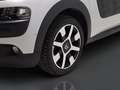 Citroen C4 Cactus 2014 1.6 bluehdi Shine 100cv Beige - thumbnail 15