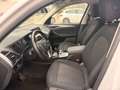 BMW X3 Business Advantage 18 d MHEV Weiß - thumbnail 13
