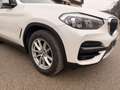 BMW X3 Business Advantage 18 d MHEV Weiß - thumbnail 9