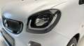 smart forTwo EQ COUPE Weiß - thumbnail 13