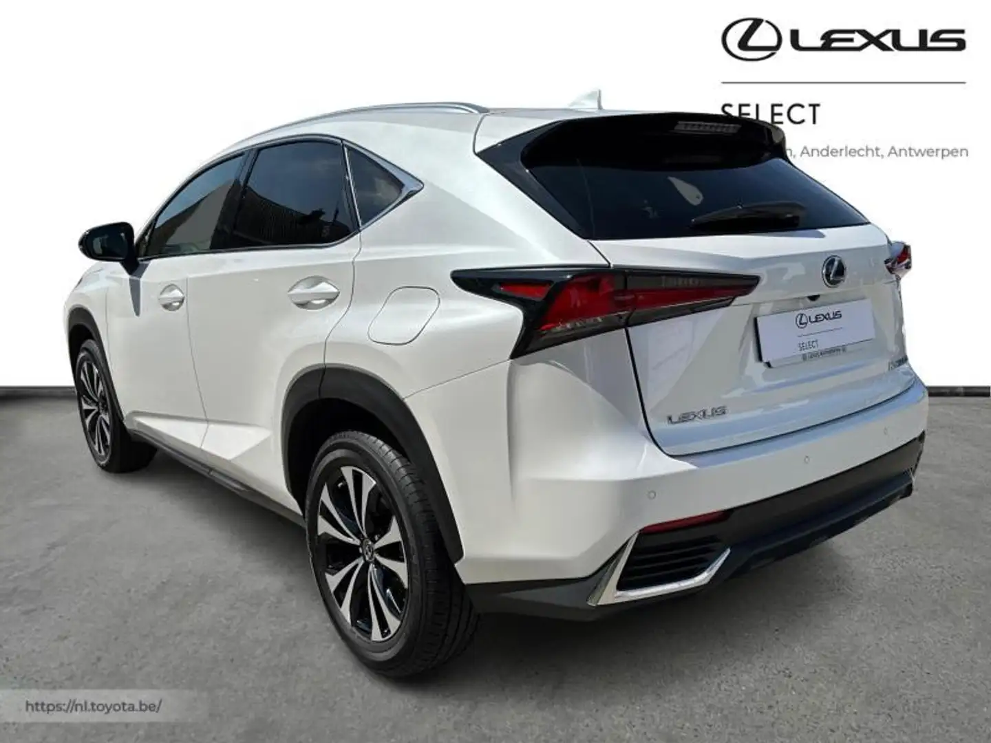 Lexus NX 300h Business Line Plus + Carplay Weiß - 2