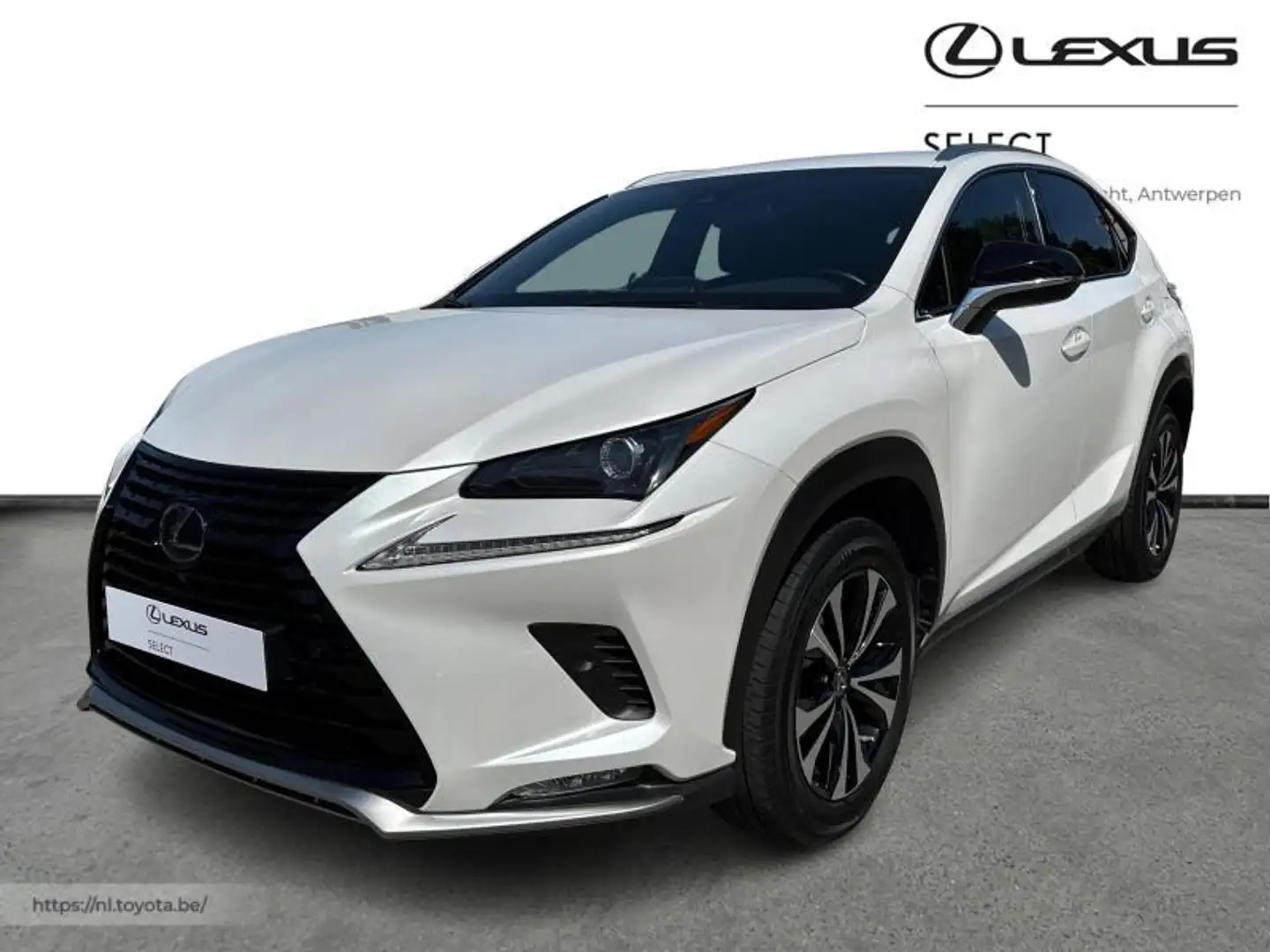 Lexus NX 300h Business Line Plus + Carplay Weiß - 1