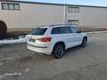 Skoda Kodiaq Kodiaq 2,0 TDI SCR 4x4 Sportline DSG Sportline Weiß - thumbnail 7