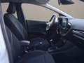 Ford Fiesta 5p 1.1 Titanium 85cv NEOPATENTATI Weiß - thumbnail 17