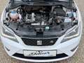 SEAT Ibiza 1.2 TSI FR  ARBÖ Überprüfung 10.2026 Weiß - thumbnail 16