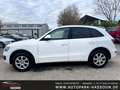 Audi Q5 2.0 TFSI quattro AHK Xenon-Plus Navi Pano Klimaaut Weiß - thumbnail 11