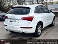Audi Q5 2.0 TFSI quattro AHK Xenon-Plus Navi Pano Klimaaut Weiß - thumbnail 8