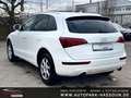 Audi Q5 2.0 TFSI quattro AHK Xenon-Plus Navi Pano Klimaaut Weiß - thumbnail 10