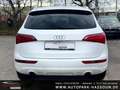 Audi Q5 2.0 TFSI quattro AHK Xenon-Plus Navi Pano Klimaaut Weiß - thumbnail 9