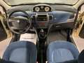 Lancia Ypsilon 1.2 60CV Oro-NEOPATENTATI Blanco - thumbnail 6