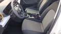 SEAT Arona Reference Edition 1.0 TSI Weiß - thumbnail 9