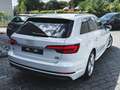 Audi A4 MARCHAND OU EXPORT ! Avant 2.0TDi ultra S-Line Blanc - thumbnail 10
